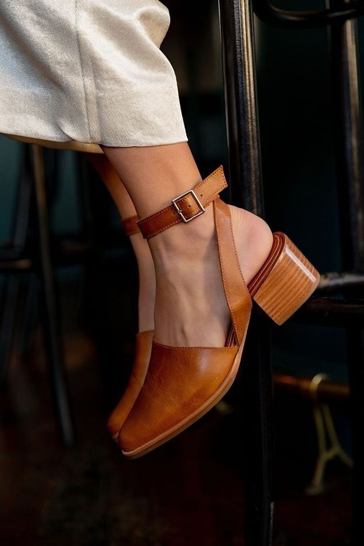 Ankle Strap Buckle Pointed Toe Brown Chunky Heels [Pre Order]