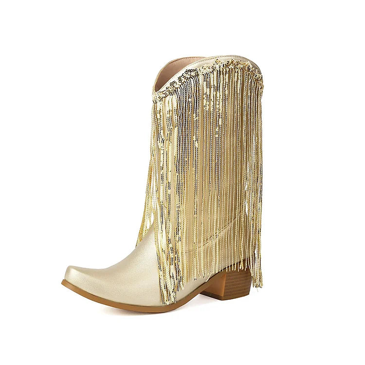 Metallic Sheen Fringed Trim Pointed Toe Chunky Heel Mid Boots