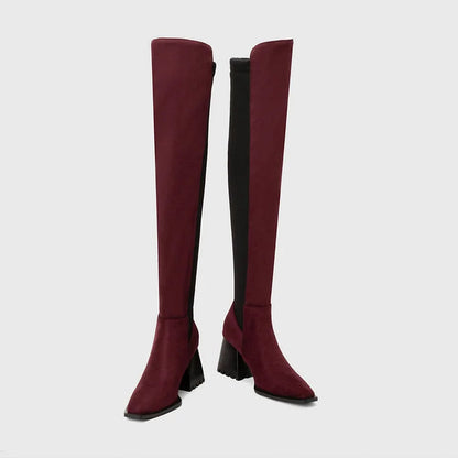 Colorblock Irregular Edge Pointed Toe Chunky Heel Over The Knee Boots