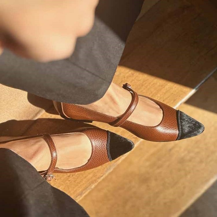 Patchwork Instep Strap Buckle Pointed Toe Brown Flats [Pre Order]