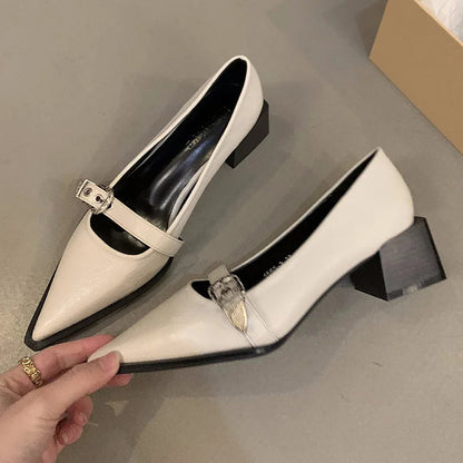 Pointed Toe Metal Buckle Instep Strap Plain Chunky Heels